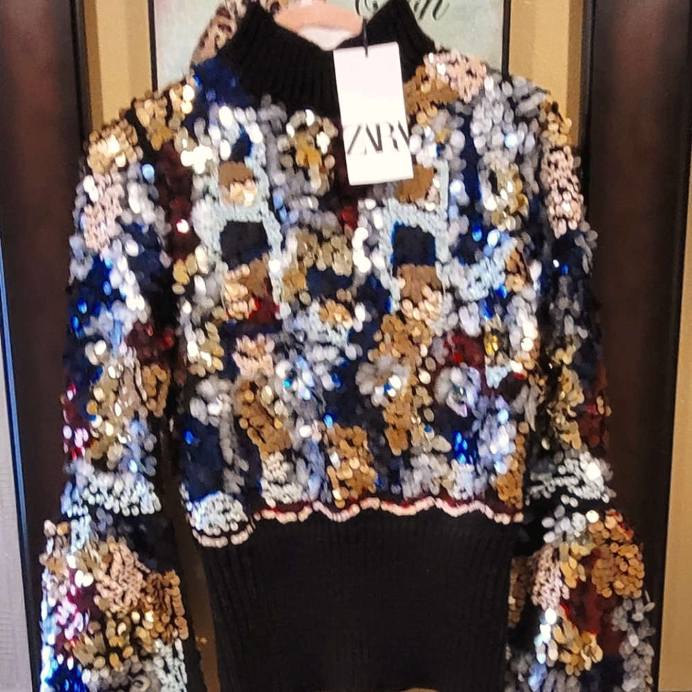 BNWT Zara bell sleeved sequin sweater